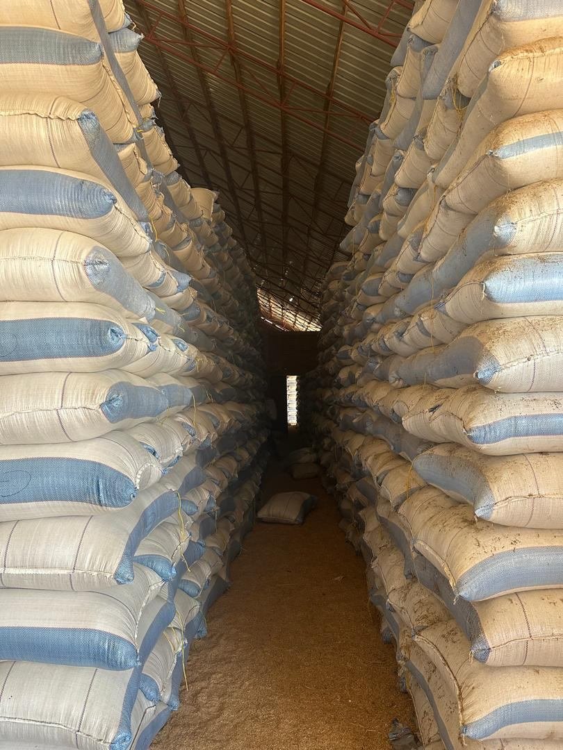 Warehouse aisle stacked high with bagged rice ready for dispatch
